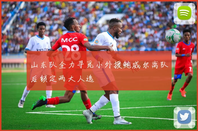 山东队全力寻觅小外援鲍威尔离队后锁定两大人选