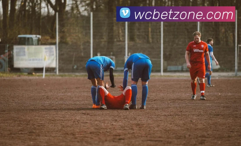 世界杯买球平台生态图